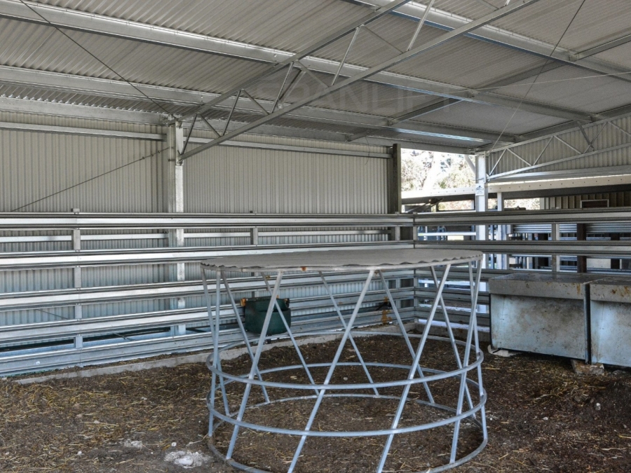 Beef Yard Cover 18 Spanlift 8r1c C - Gallery