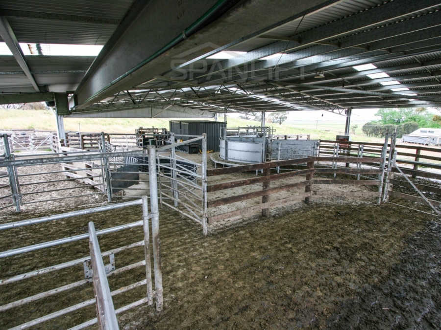 Beef Yard Cover 6 Spanlift uF5AYf - Gallery