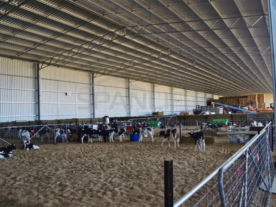 Calf Shed 3 Spanlift L4z6m2 - Gallery