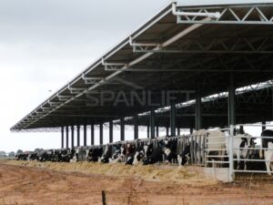 Feed LotCLBcnZ 300x225 - Shed Manufacturers South Australia