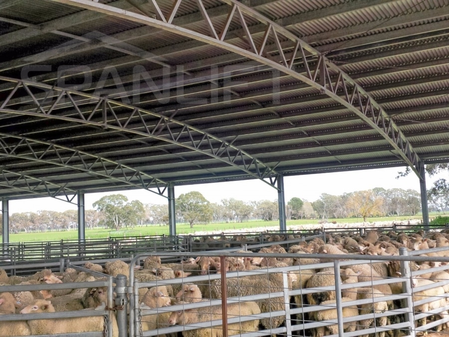 Sheep Yard Cover 1 Spanlift LUX1xw