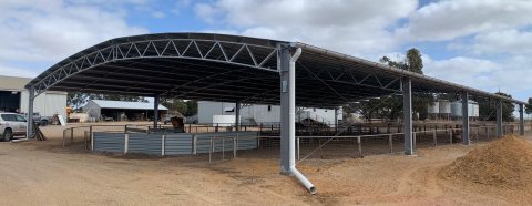 Shearing shed builders western australia Cattle farmer keeps his passion alive